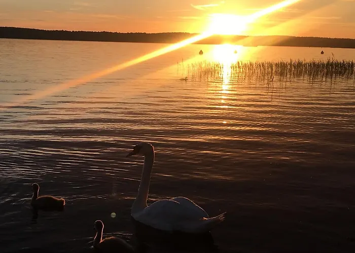 アパートホテル Ferienpark Bad Saarow